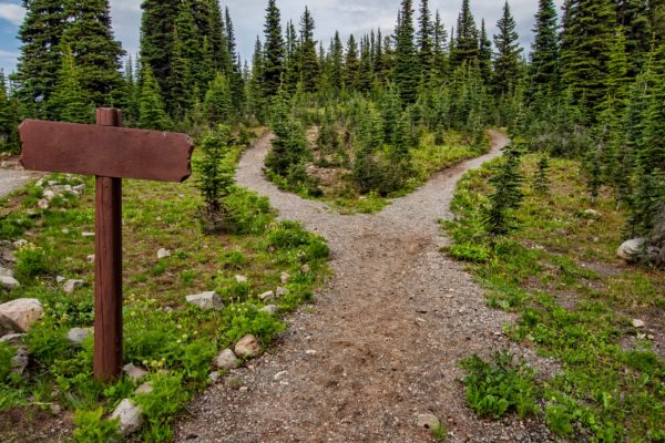 Picture of a fork in a hiking path